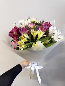 моно7 альстр